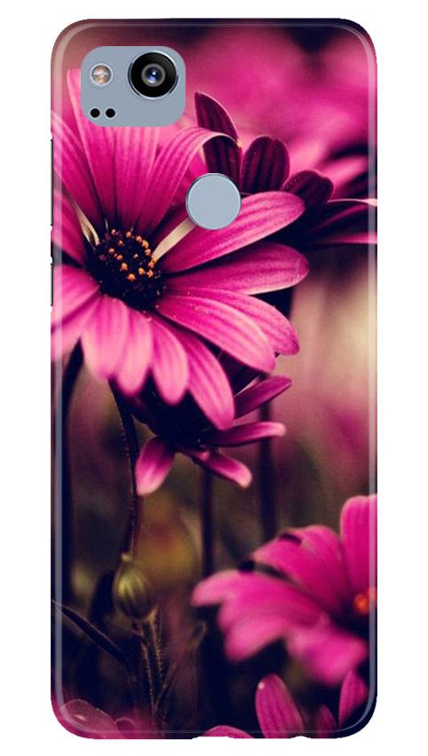 Purple Daisy Mobile Back Case for Google Pixel 2 (Design - 65) Purple Daisy Case for Google Pixel 2