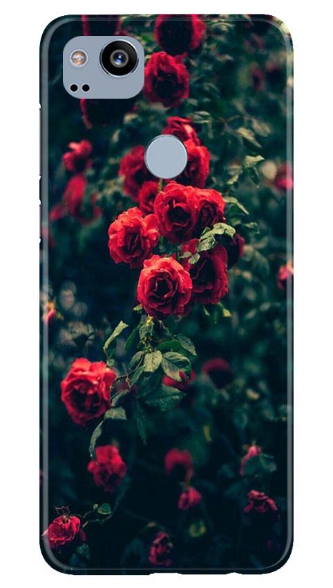 Red Rose Mobile Back Case for Google Pixel 2 (Design - 66) Red Rose Case for Google Pixel 2