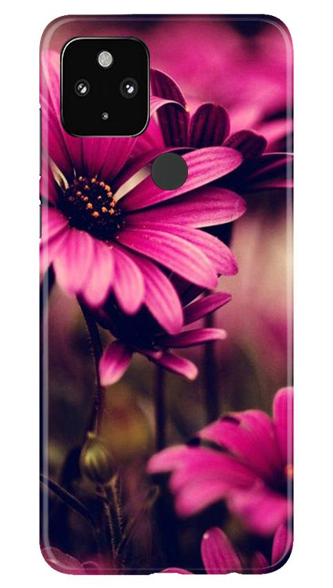 Purple Daisy Mobile Back Case for Google Pixel 4a (Design - 65) Purple Daisy Case for Google Pixel 4a