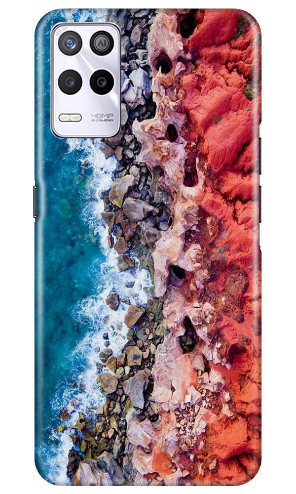 Lion Mobile Back Case for Realme 9 5G (Design - 241) Lion Case for Realme 9 5G (Design No. 241)