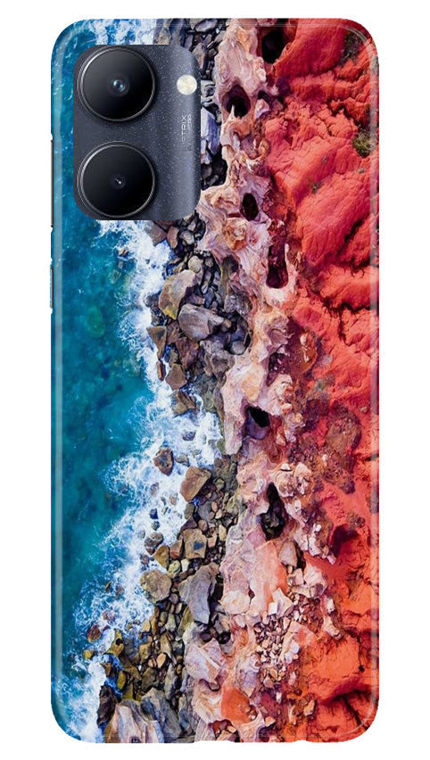 Lion Mobile Back Case for Realme C33 (Design - 241) Lion Case for Realme C33 (Design No. 241)