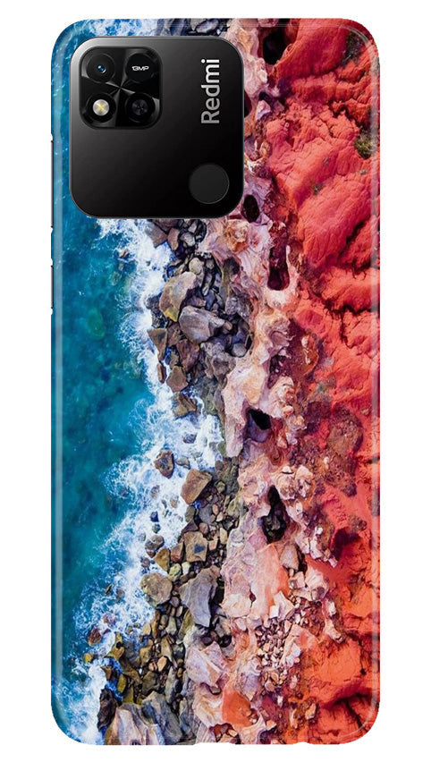 Lion Mobile Back Case for Redmi 10A (Design - 241) Lion Case for Redmi 10A (Design No. 241)