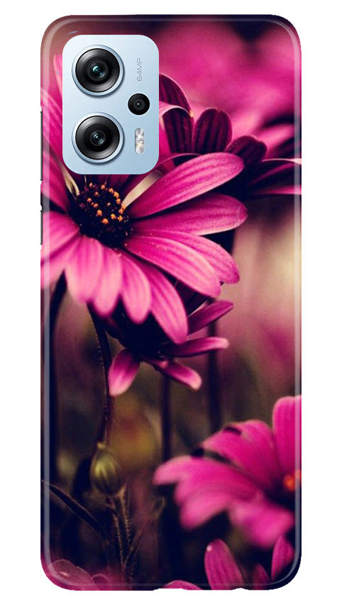 Purple Daisy Mobile Back Case for Redmi K50i (Design - 65) Purple Daisy Case for Redmi K50i