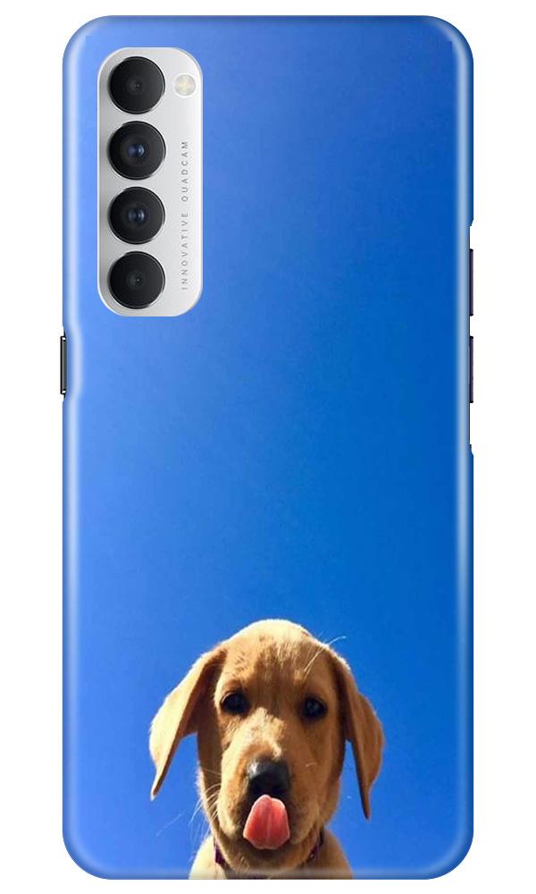 Dog Mobile Back Case for Oppo Reno4 Pro (Design - 332) Dog Mobile Back Case for Oppo Reno4 Pro (Design - 332)
