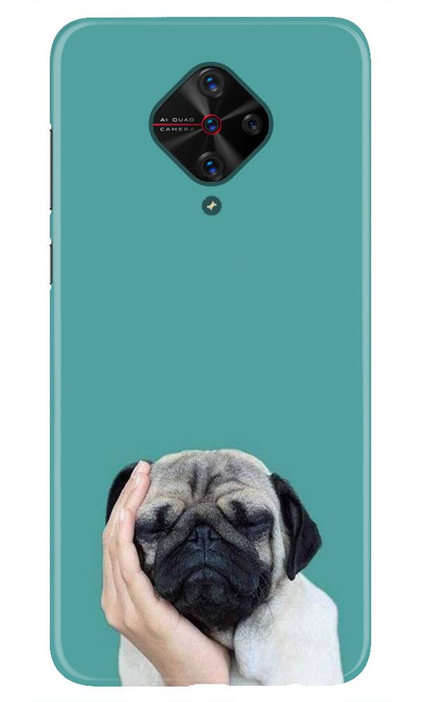 Puppy Mobile Back Case for Vivo S1 Pro (Design - 333) Puppy Mobile Back Case for Vivo S1 Pro (Design - 333)
