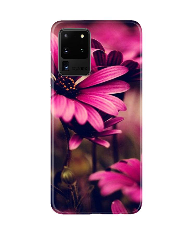 Purple Daisy Mobile Back Case for Galaxy S20 Ultra (Design - 65) Purple Daisy Case for Galaxy S20 Ultra