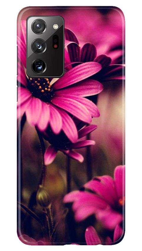 Purple Daisy Mobile Back Case for Samsung Galaxy Note 20 (Design - 65) Purple Daisy Case for Samsung Galaxy Note 20