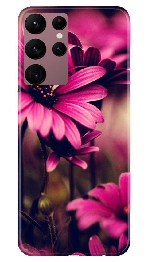 Purple Daisy Mobile Back Case for Samsung Galaxy S22 Ultra (Design - 65) Purple Daisy Case for Samsung Galaxy S22 Ultra