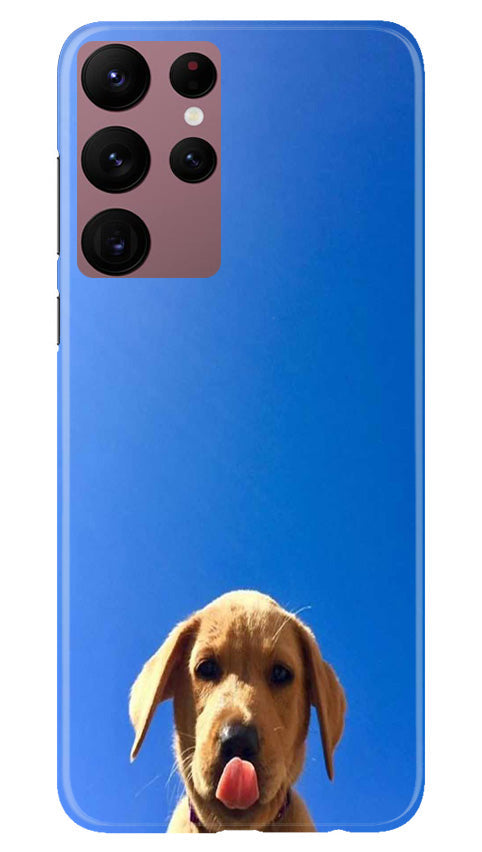 Dog Mobile Back Case for Samsung Galaxy S22 Ultra (Design - 294) Dog Mobile Back Case for Samsung Galaxy S22 Ultra (Design - 294)