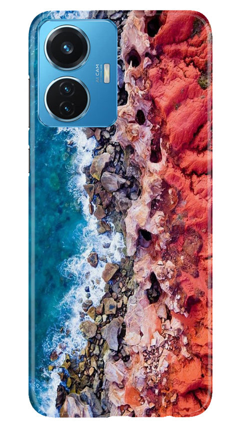 Lion Mobile Back Case for Vivo T1 44W (Design - 241) Lion Case for Vivo T1 44W (Design No. 241)