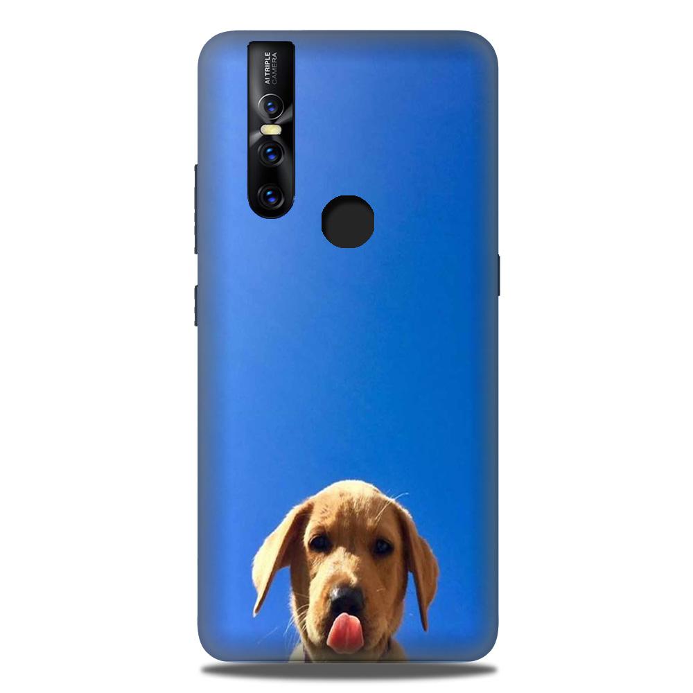 Dog Mobile Back Case for Vivo V15 (Design - 332) Dog Mobile Back Case for Vivo V15 (Design - 332)