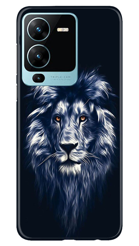 King Case for Vivo V25 Pro 5G (Design No. 249)