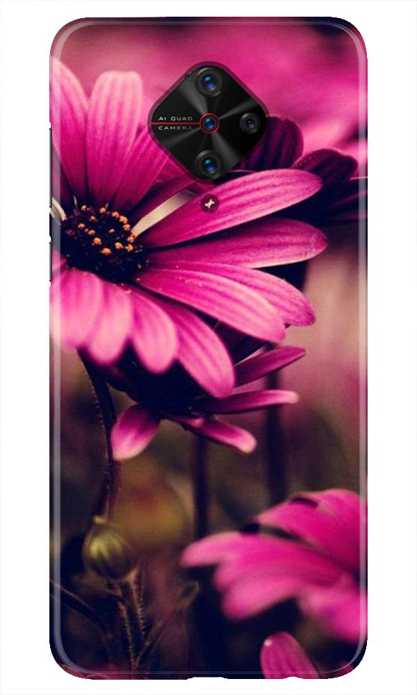 Purple Daisy Mobile Back Case for Vivo S1 Pro (Design - 65) Purple Daisy Case for Vivo S1 Pro