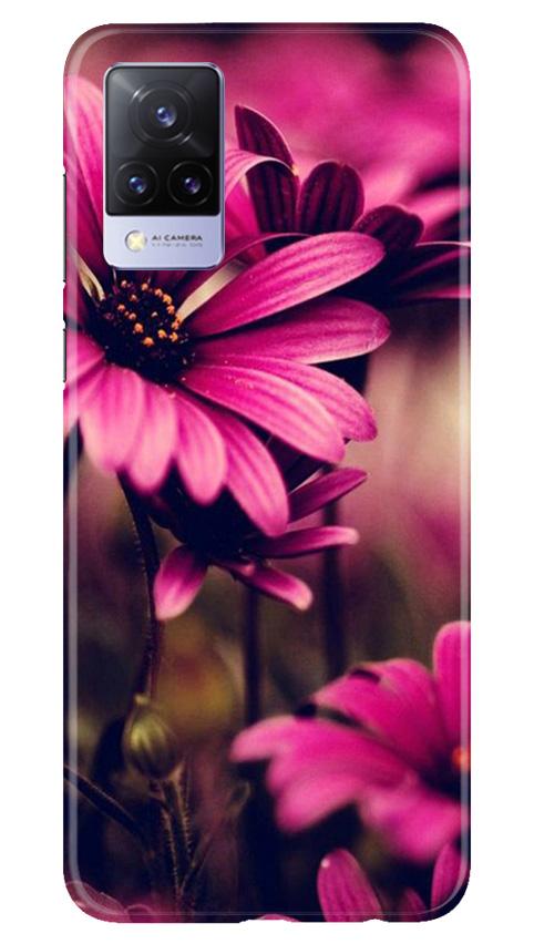 Purple Daisy Mobile Back Case for Vivo V21 5G (Design - 65) Purple Daisy Case for Vivo V21 5G
