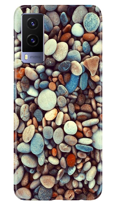 Pebbles Mobile Back Case for Vivo V21e 5G (Design - 205) Pebbles Case for Vivo V21e 5G (Design - 205)