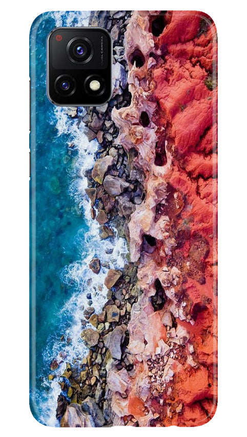 Lion Mobile Back Case for Vivo Y52s 5G (Design - 241) Lion Case for Vivo Y52s 5G (Design No. 241)