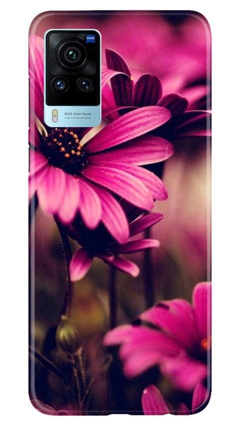 Purple Daisy Mobile Back Case for Vivo X60 Pro (Design - 65) Purple Daisy Case for Vivo X60 Pro