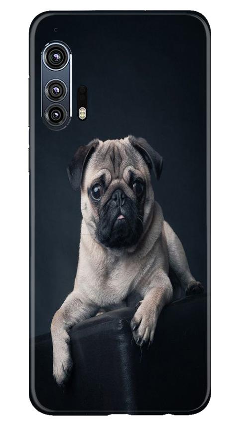 little Puppy Mobile Back Case for Moto Edge Plus (Design - 68) little Puppy Case for Moto Edge Plus