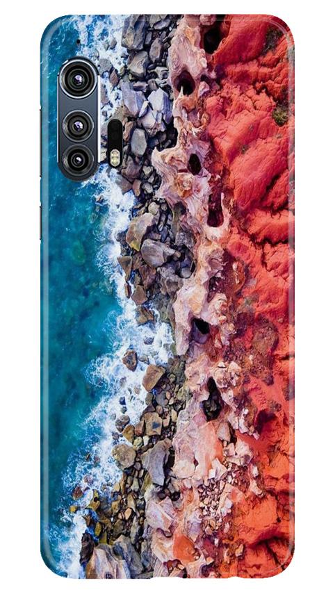 Lion Mobile Back Case for Moto Edge Plus (Design - 272) Lion Case for Moto Edge Plus (Design No. 272)