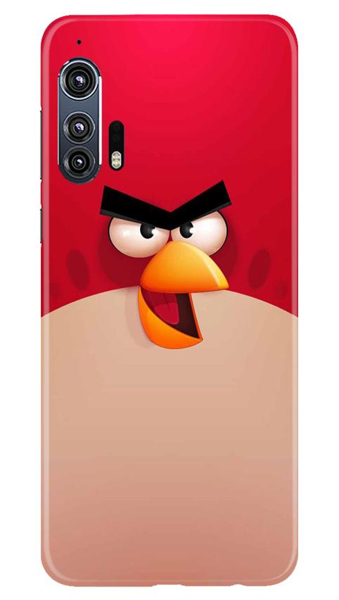Angry Bird Red Mobile Back Case for Moto Edge Plus (Design - 325) Angry Bird Red Mobile Back Case for Moto Edge Plus (Design - 325)