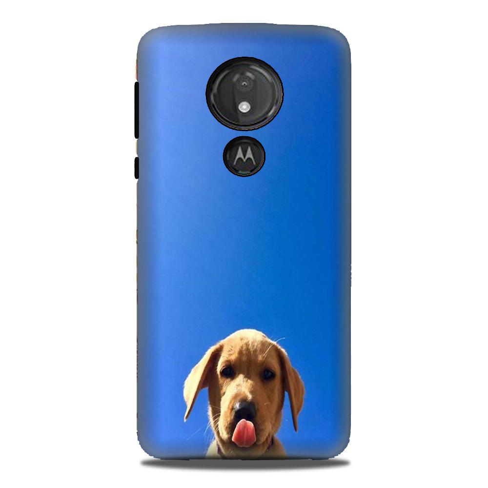 Dog Mobile Back Case for G7power (Design - 332) Dog Mobile Back Case for G7power (Design - 332)