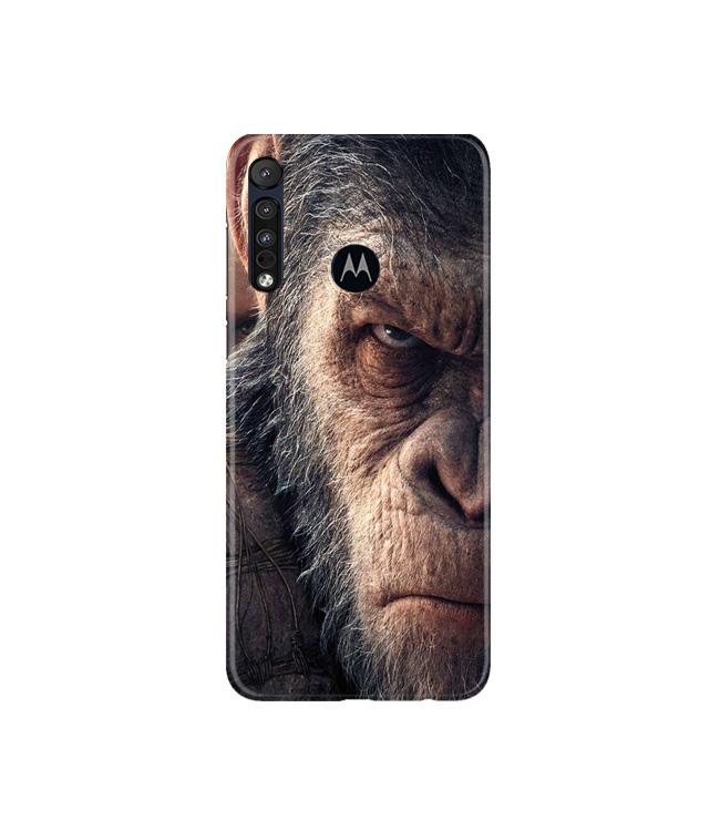 Angry Ape Mobile Back Case for Moto G8 Plus (Design - 316) Angry Ape Mobile Back Case for Moto G8 Plus (Design - 316)