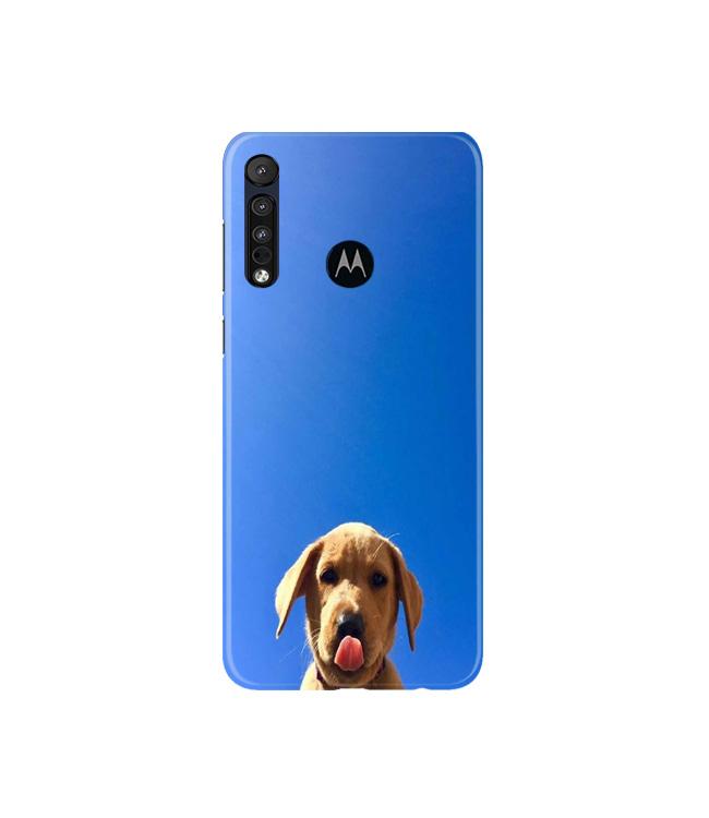 Dog Mobile Back Case for Moto G8 Plus (Design - 332) Dog Mobile Back Case for Moto G8 Plus (Design - 332)
