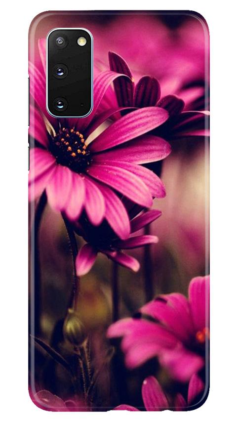 Purple Daisy Mobile Back Case for Samsung Galaxy S20 (Design - 65) Purple Daisy Case for Samsung Galaxy S20
