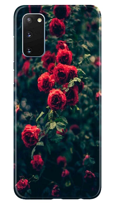 Red Rose Mobile Back Case for Samsung Galaxy S20 (Design - 66) Red Rose Case for Samsung Galaxy S20