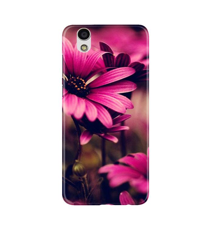 Purple Daisy Mobile Back Case for Gionee F103 (Design - 65) Purple Daisy Case for Gionee F103