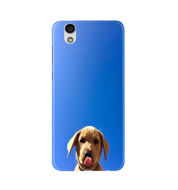 Dog Mobile Back Case for Gionee F103 (Design - 332) Dog Mobile Back Case for Gionee F103 (Design - 332)