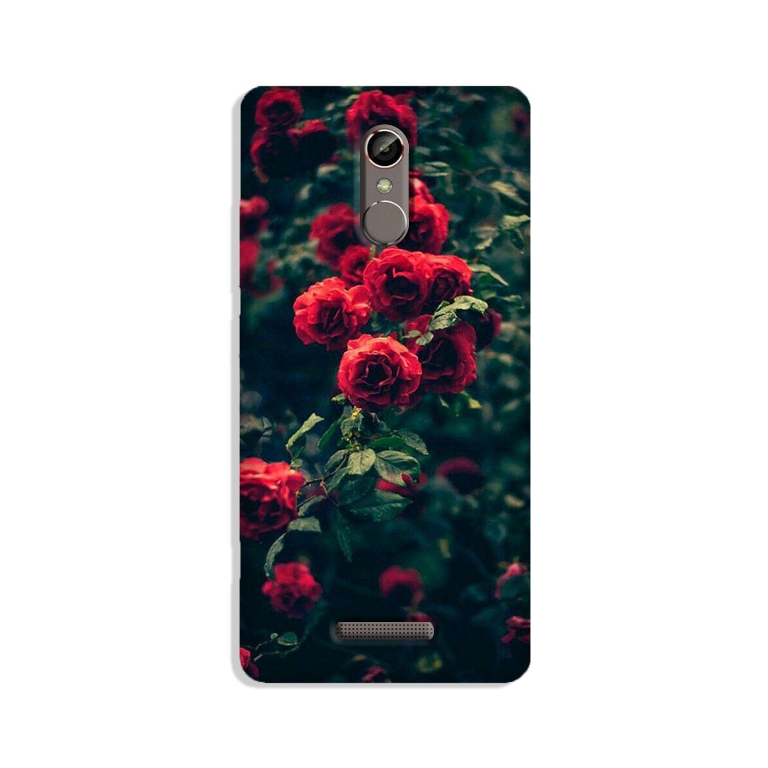 Red Rose Mobile Back Case for Gionee S6s (Design - 66) Red Rose Case for Gionee S6s