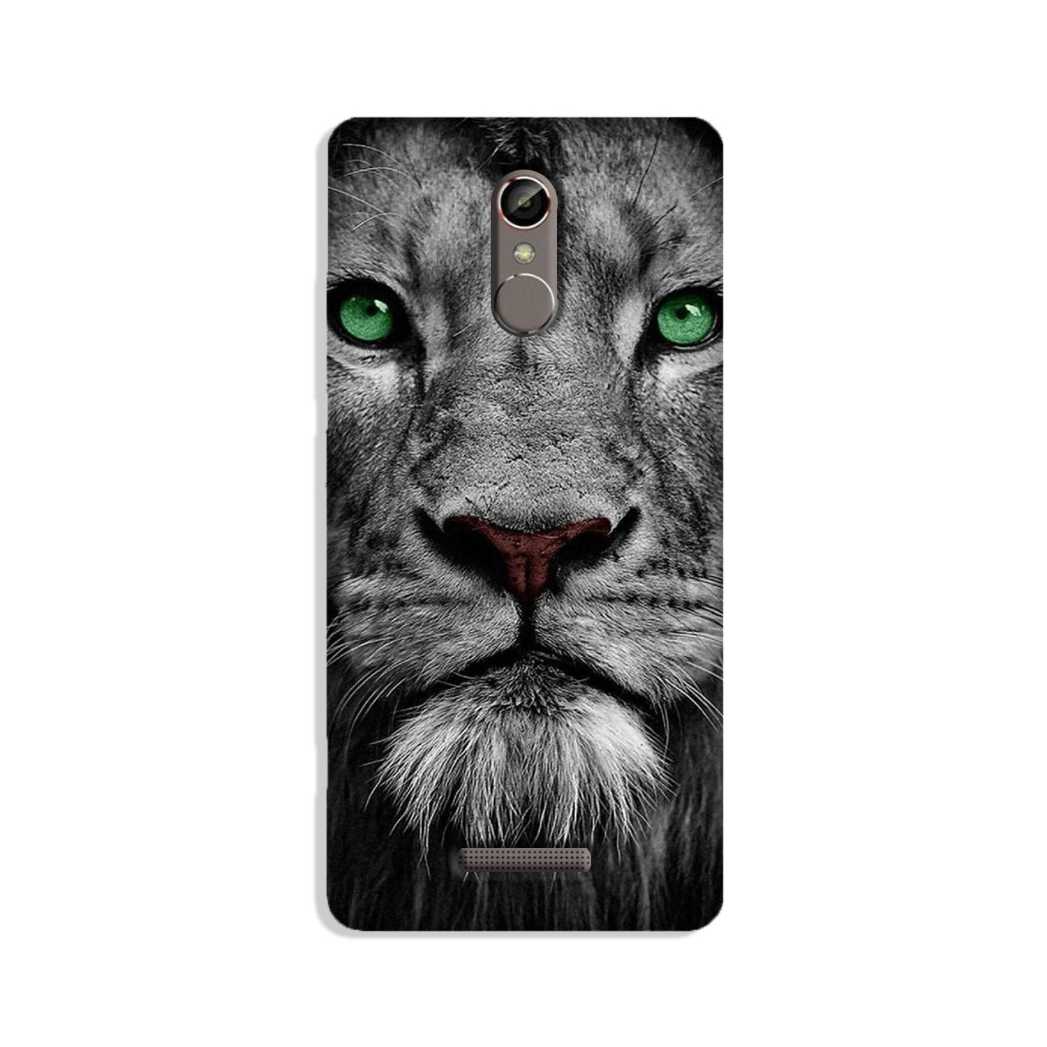 Lion Mobile Back Case for Gionee S6s (Design - 272) Lion Case for Gionee S6s (Design No. 272)