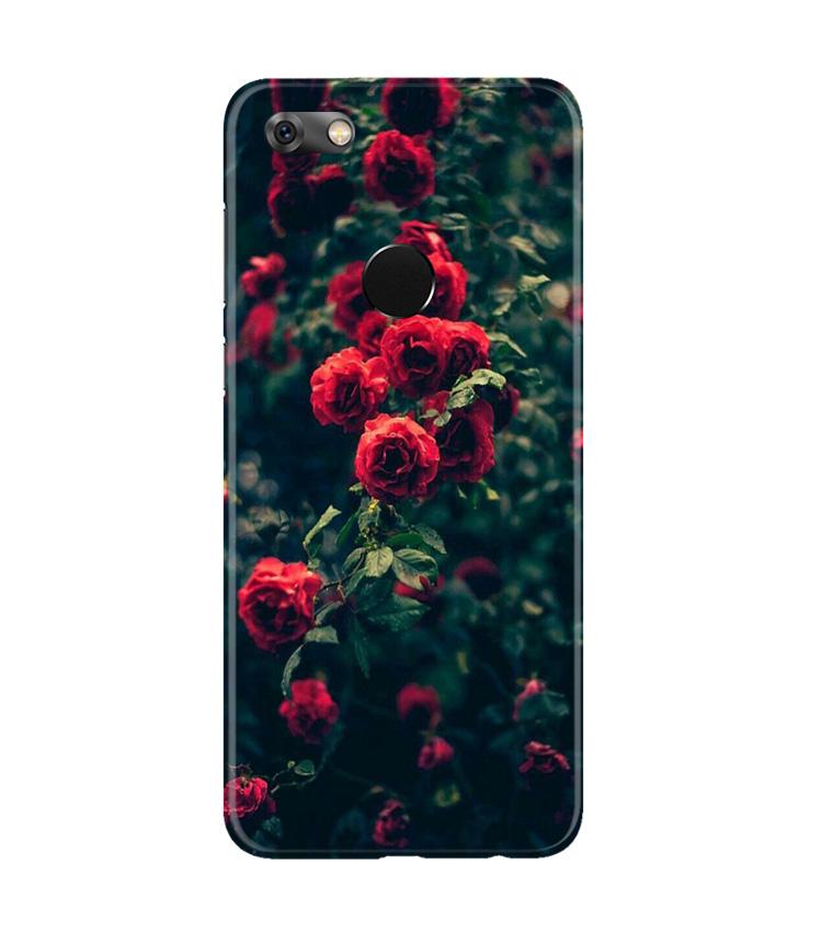 Red Rose Mobile Back Case for Gionee M7 / M7 Power (Design - 66) Red Rose Case for Gionee M7 / M7 Power