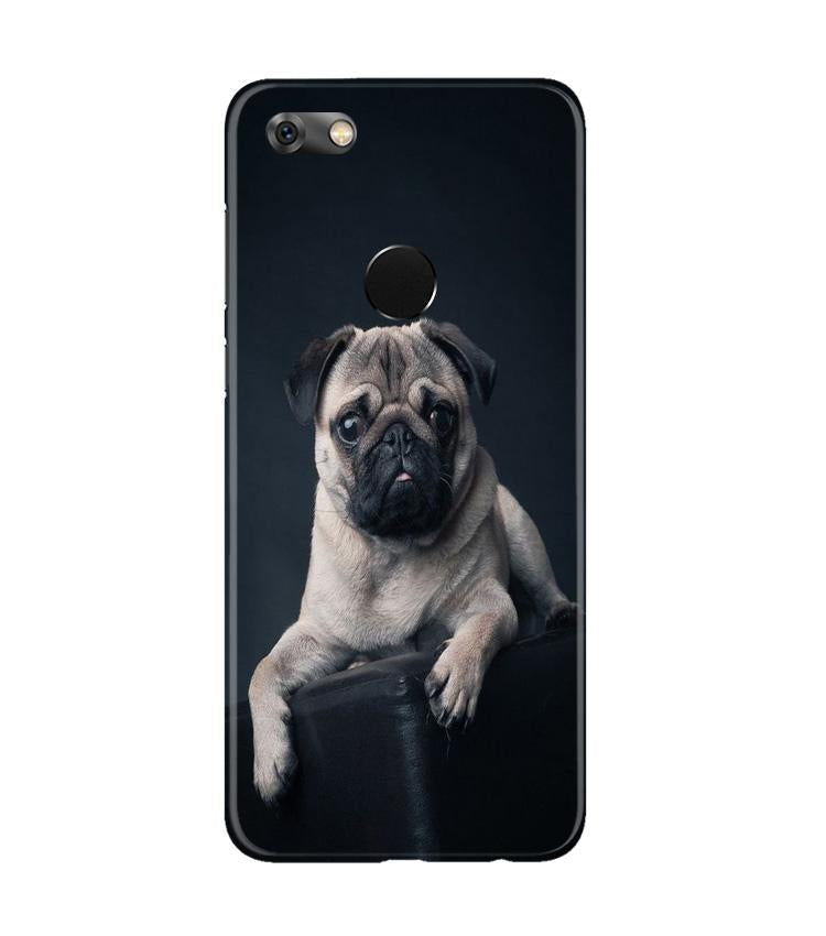 little Puppy Mobile Back Case for Gionee M7 / M7 Power (Design - 68) little Puppy Case for Gionee M7 / M7 Power