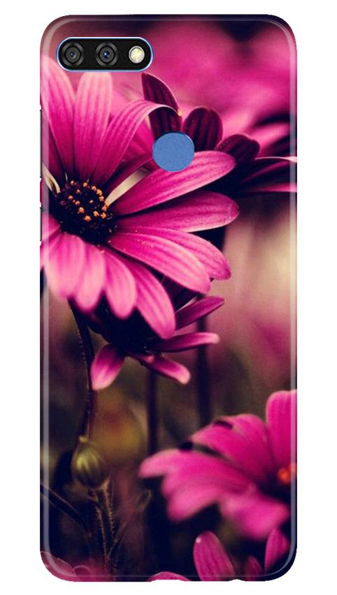 Purple Daisy Mobile Back Case for Huawei 7C (Design - 65) Purple Daisy Case for Huawei 7C