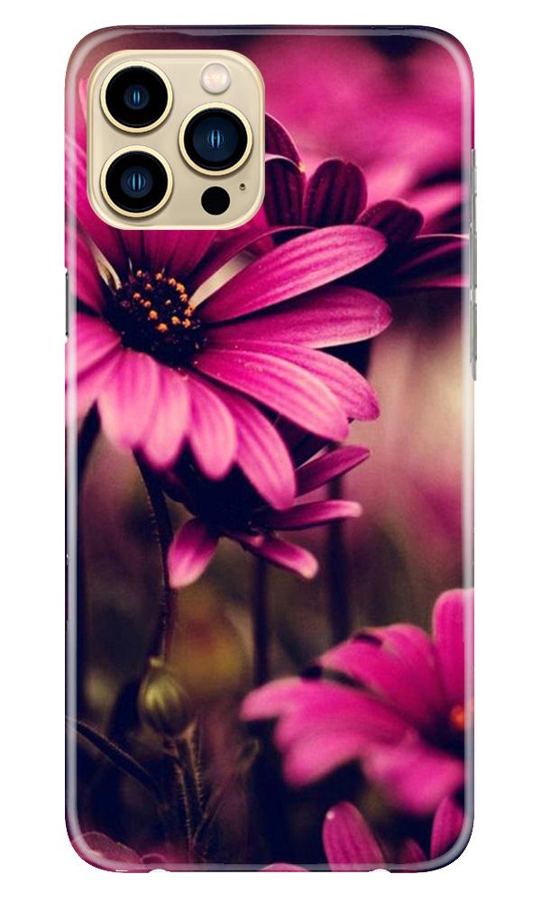 Purple Daisy Mobile Back Case for iPhone 13 Pro Max (Design - 65) Purple Daisy Case for iPhone 13 Pro Max