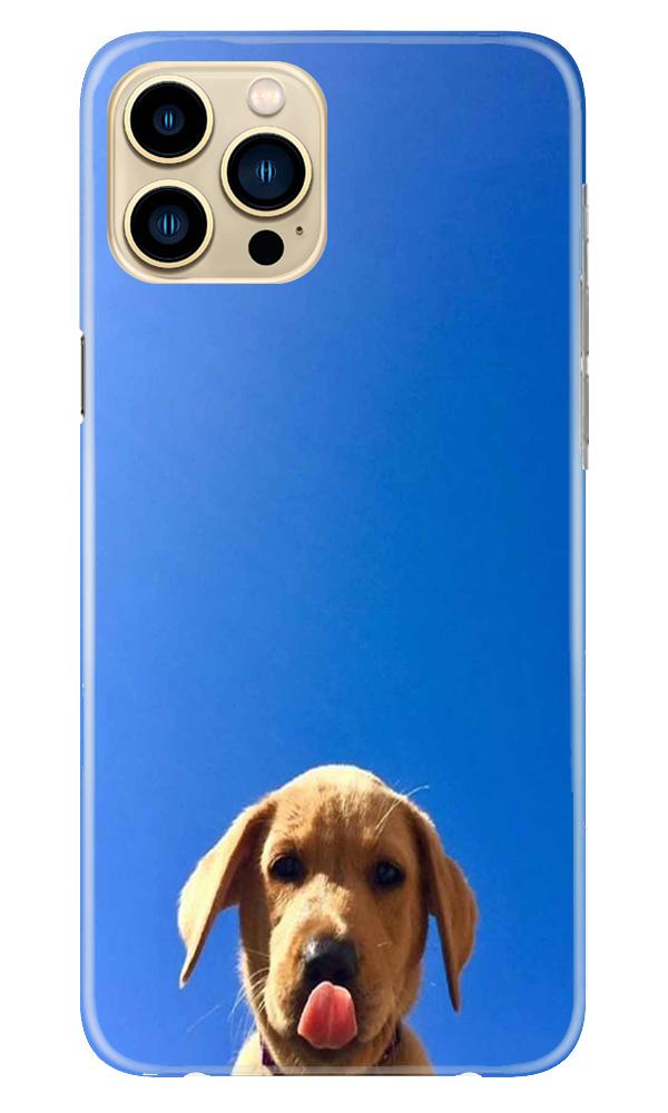 Dog Mobile Back Case for iPhone 13 Pro (Design - 332) Dog Mobile Back Case for iPhone 13 Pro (Design - 332)