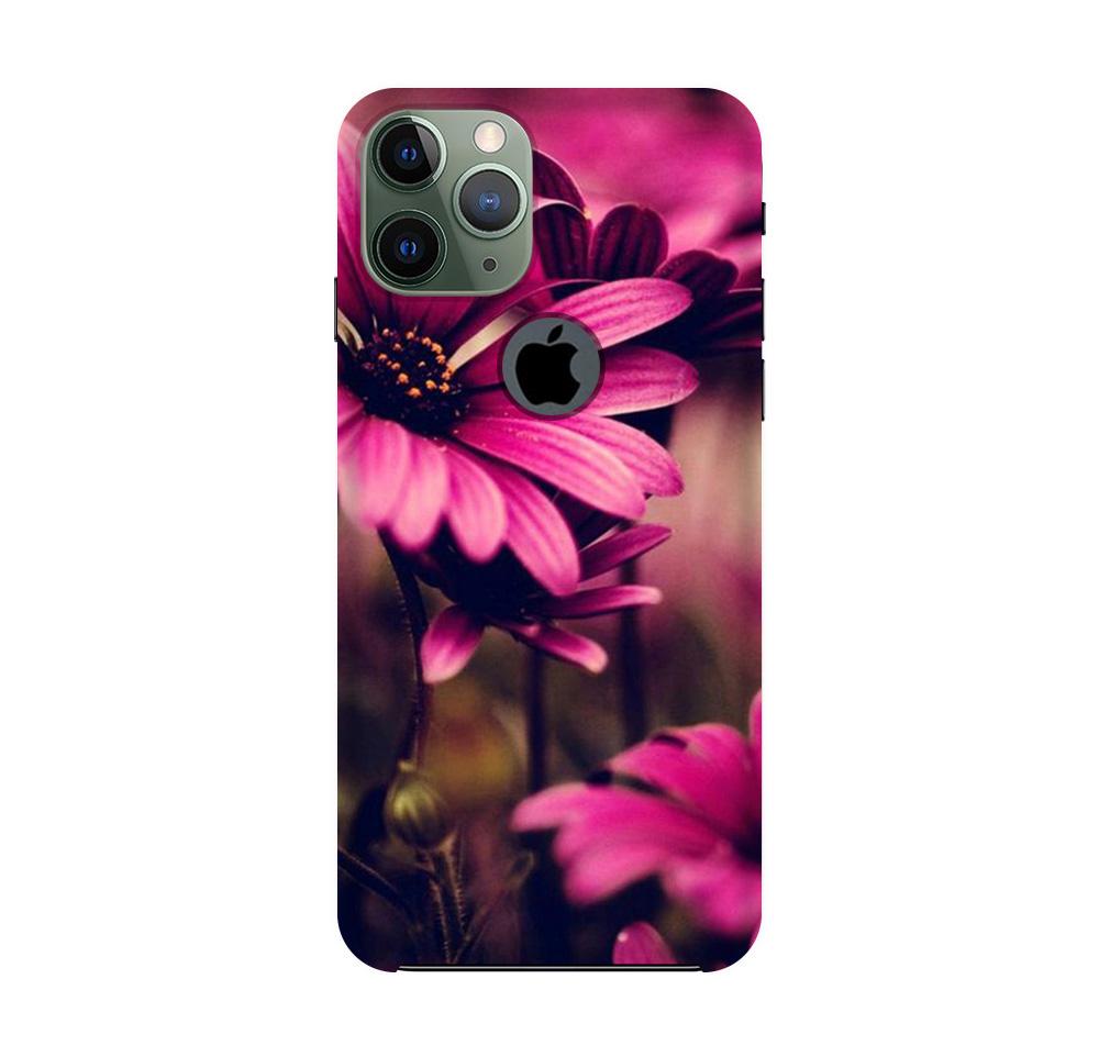 Purple Daisy Mobile Back Case for iPhone 11 Pro logo cut (Design - 65) Purple Daisy Case for iPhone 11 Pro logo cut