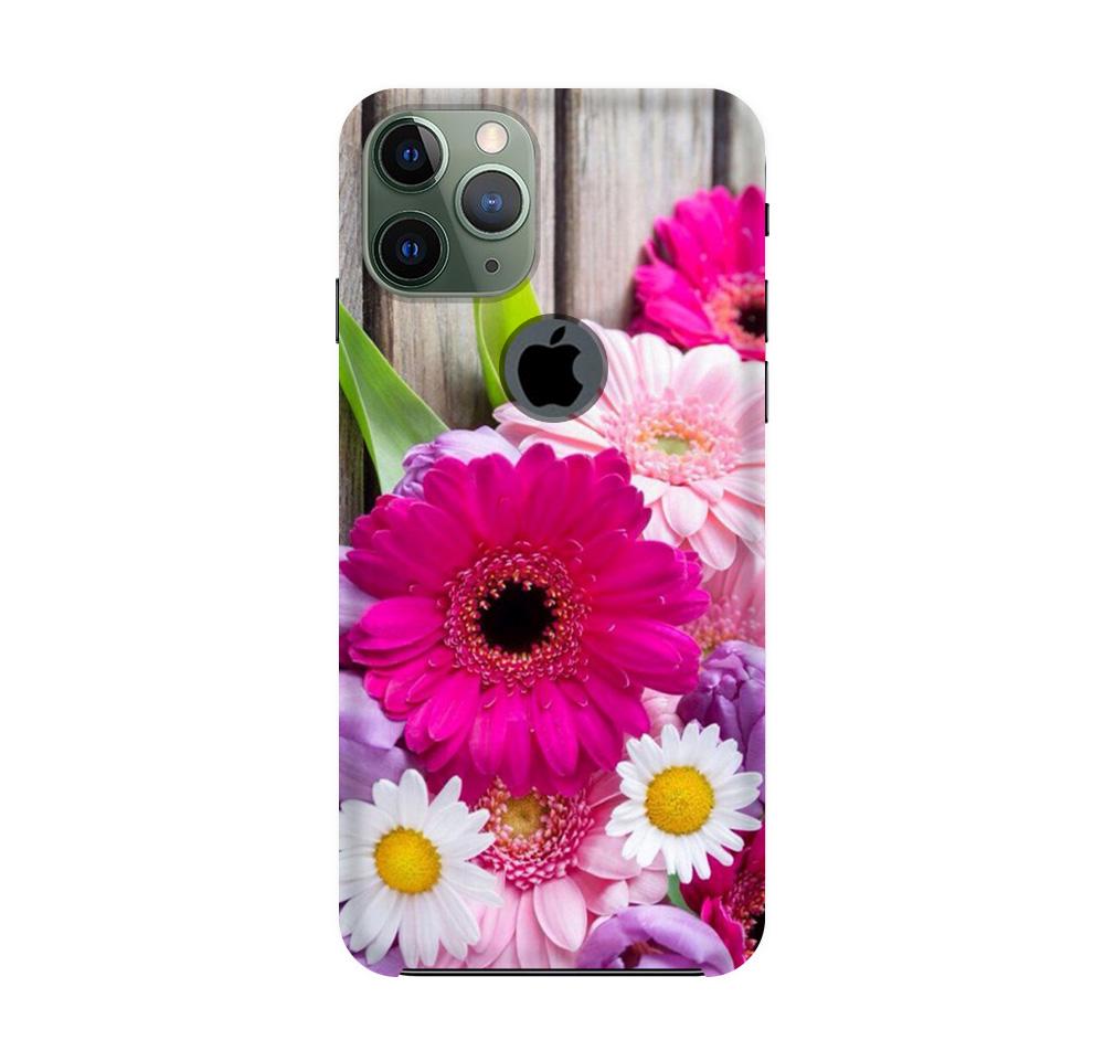 Coloful Daisy2 Mobile Back Case for iPhone 11 Pro logo cut (Design - 76) Coloful Daisy2 Case for iPhone 11 Pro logo cut