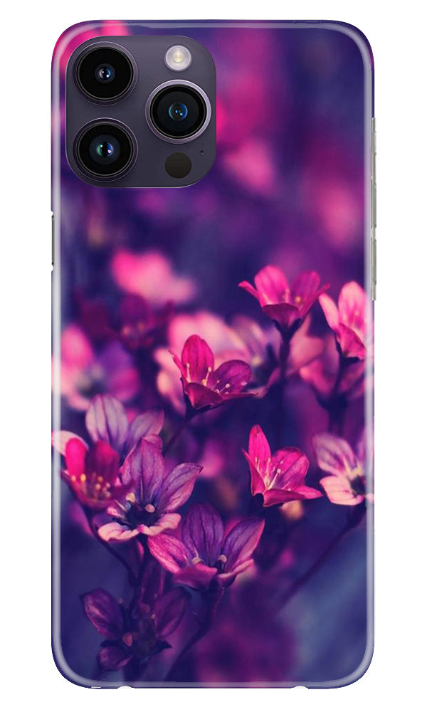 flowers Mobile Back Case for iPhone 14 Pro Max (Design - 25) flowers Case for iPhone 14 Pro Max