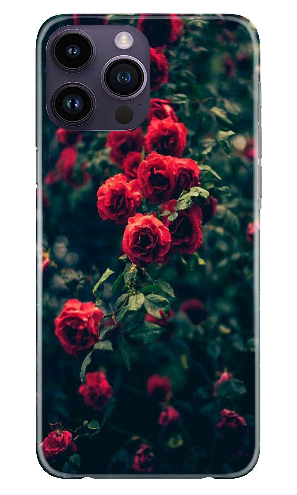 Red Rose Mobile Back Case for iPhone 14 Pro (Design - 66) Red Rose Case for iPhone 14 Pro