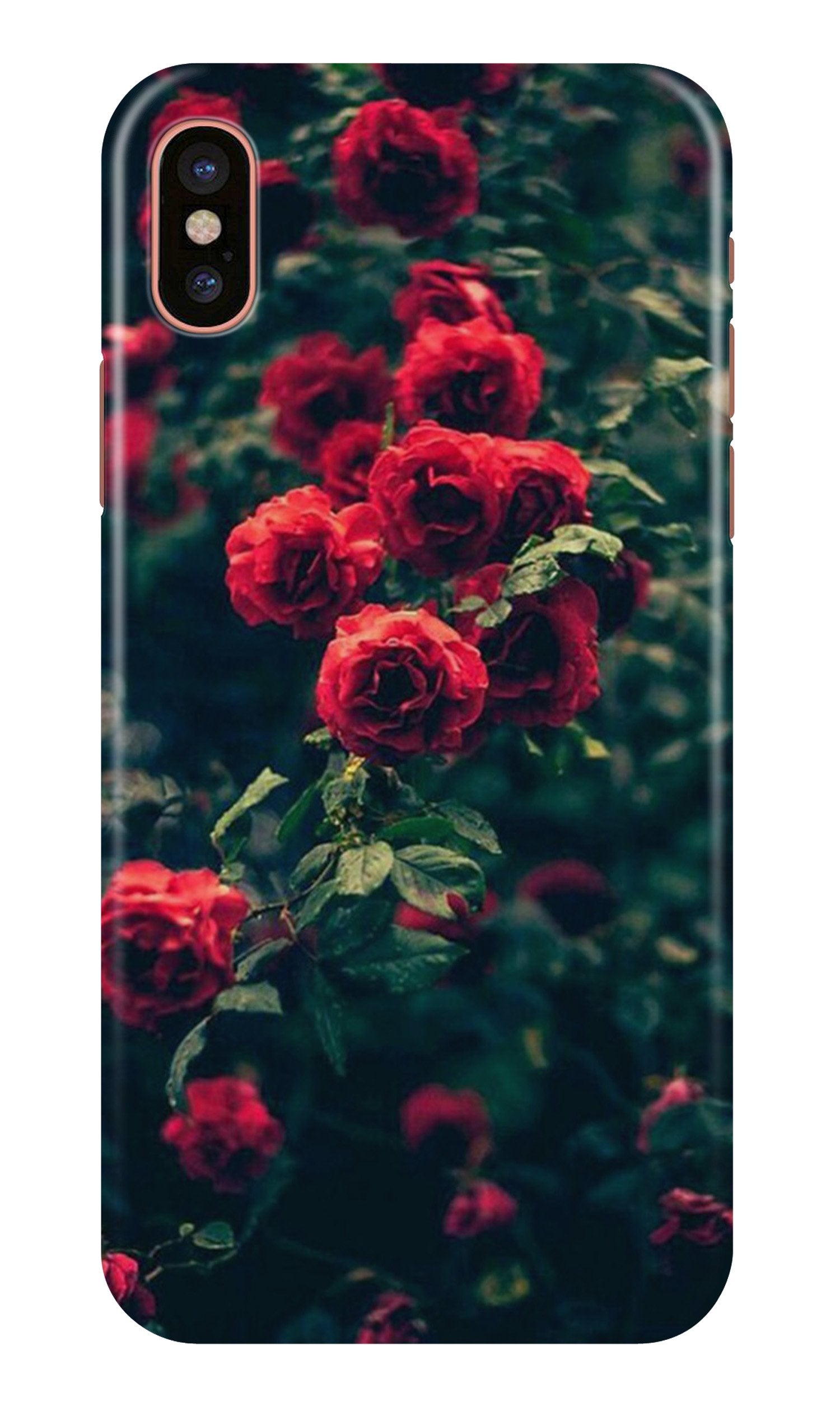 Red Rose Mobile Back Case for iPhone Xs (Design - 66) Red Rose Case for iPhone Xs