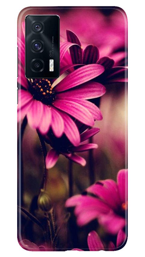 Purple Daisy Mobile Back Case for Vivo iQOO 7 (Design - 65) Purple Daisy Case for Vivo iQOO 7