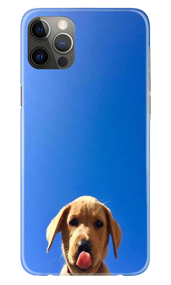 Dog Mobile Back Case for iPhone 12 Pro (Design - 332) Dog Mobile Back Case for iPhone 12 Pro (Design - 332)
