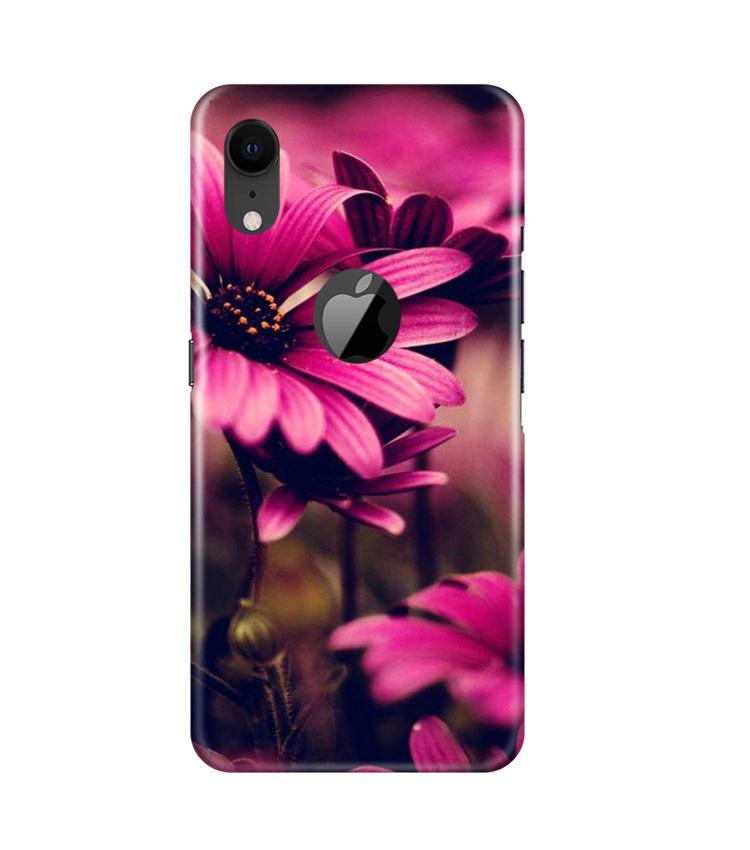 Purple Daisy Mobile Back Case for iPhone Xr Logo Cut (Design - 65) Purple Daisy Case for iPhone Xr Logo Cut
