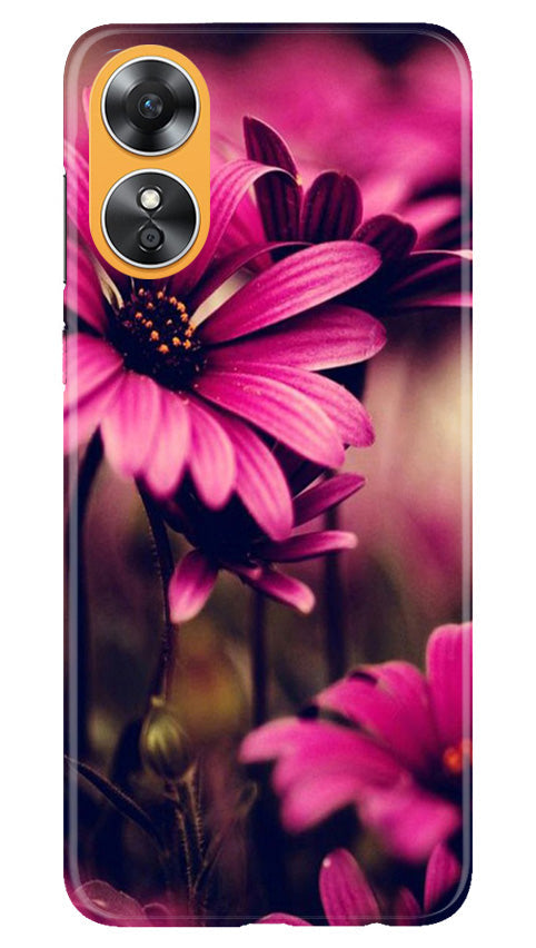 Purple Daisy Mobile Back Case for Oppo A17 (Design - 65) Purple Daisy Case for Oppo A17