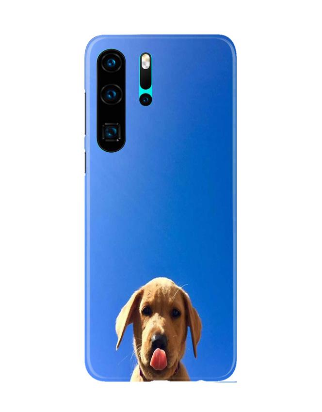 Dog Mobile Back Case for Huawei P30 Pro (Design - 332) Dog Mobile Back Case for Huawei P30 Pro (Design - 332)