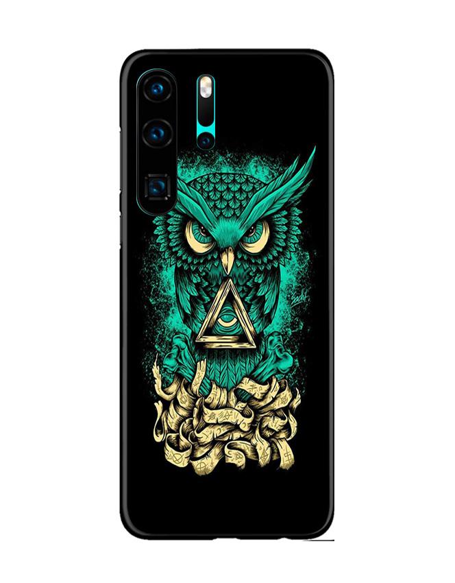 Owl Mobile Back Case for Huawei P30 Pro (Design - 358) Owl Mobile Back Case for Huawei P30 Pro (Design - 358)