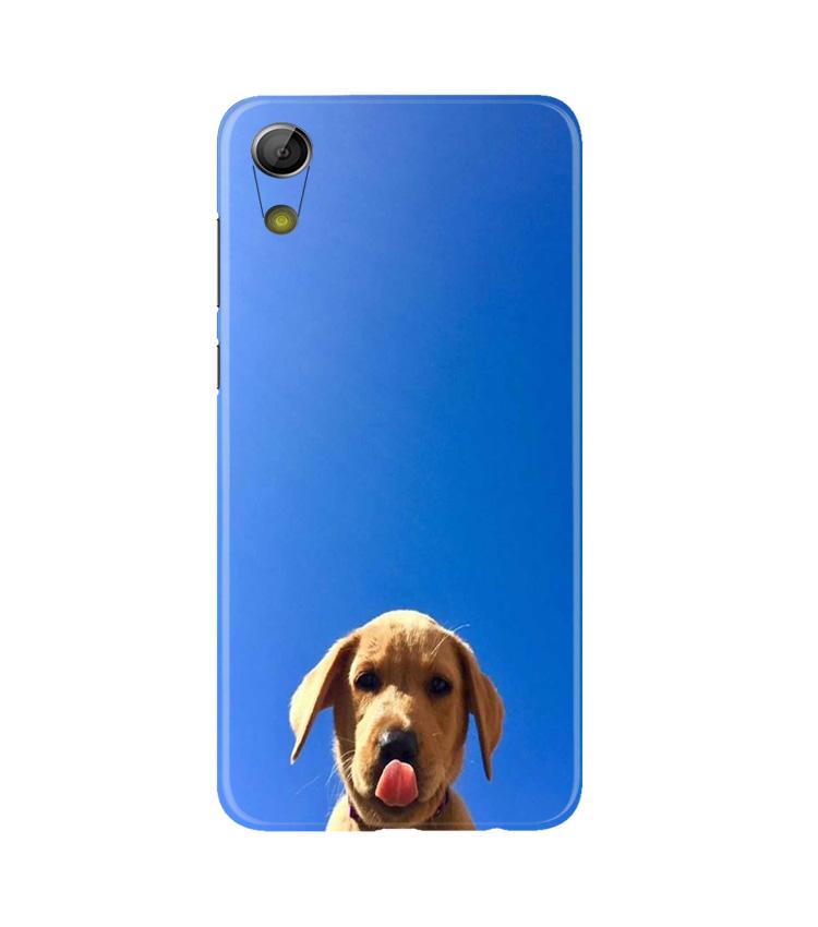 Dog Mobile Back Case for Gionee P5L / P5W / P5 Mini (Design - 332) Dog Mobile Back Case for Gionee P5L / P5W / P5 Mini (Design - 332)